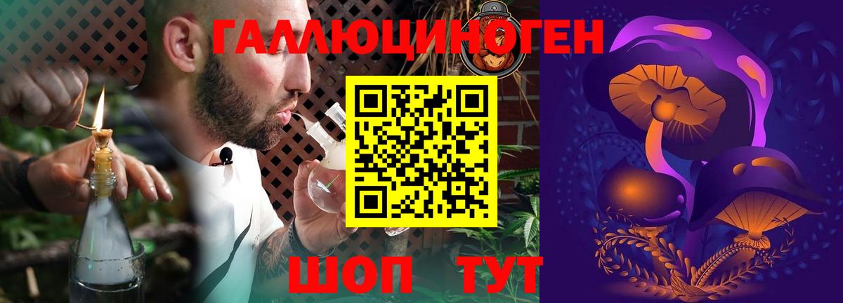 Псилоцибиновые грибы прущие грибы Карталы